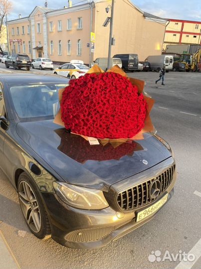 Роза букет цветы 101шт 501шт