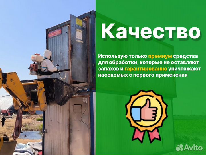 Уничтожение клопов травить тараканов, мышей, блох