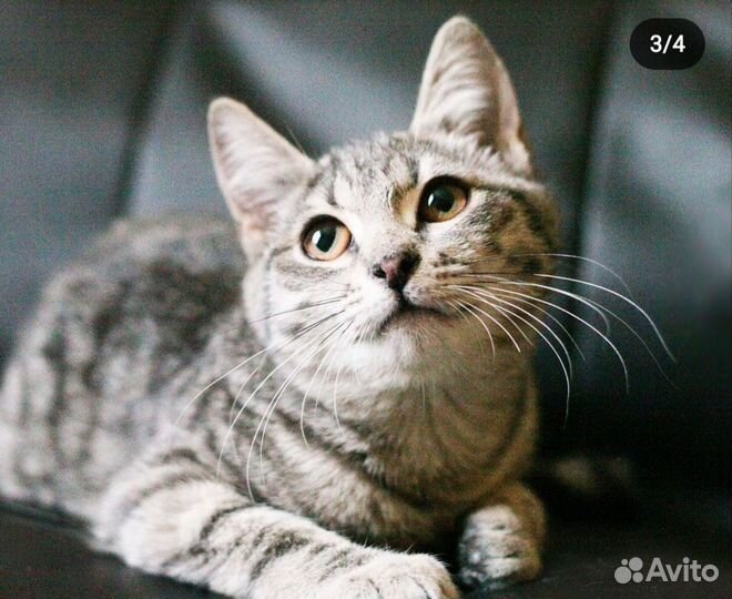 Селена 4 месяца