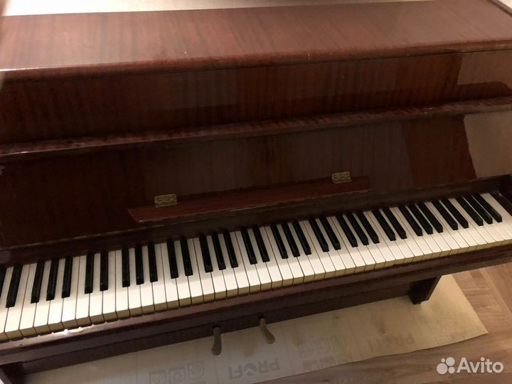 Пианино петроф petrof