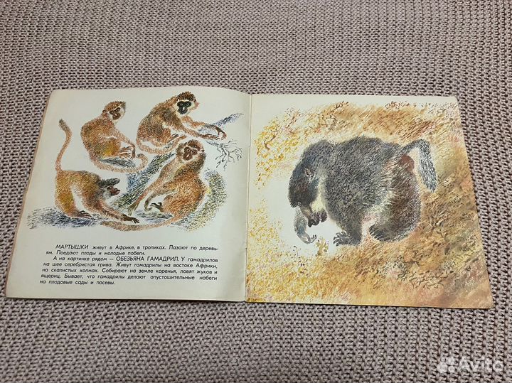 Разные звери. Акимушкин. Худ. Чарушин. 1973