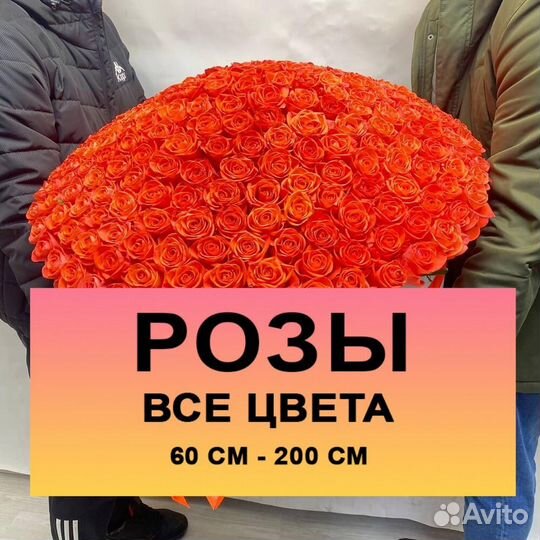 101 Роза, любой букет