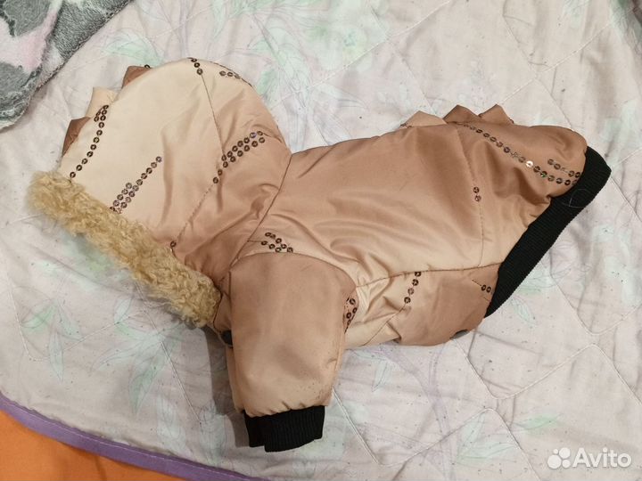 Лапомойка для собак, одежда для маленьких собак