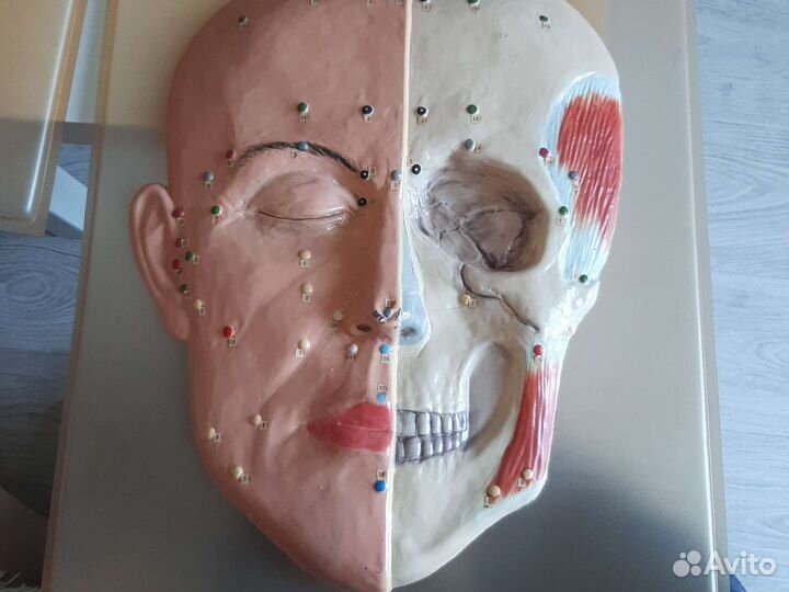 Наглядное пособие