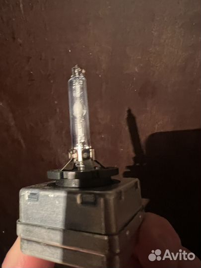 Лампочки D1S