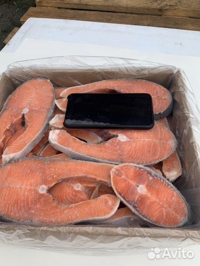 Стейк лосося, лосось