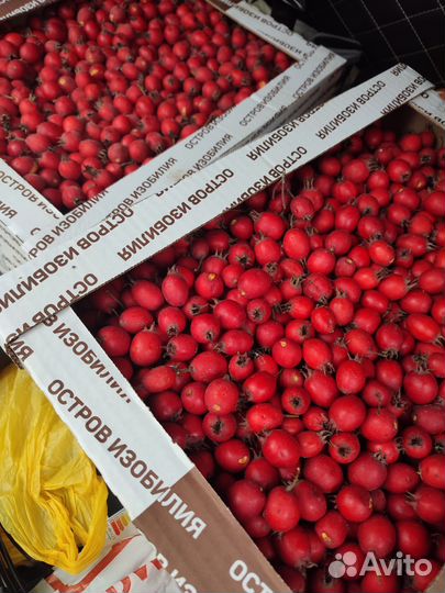 Боярышник плоды