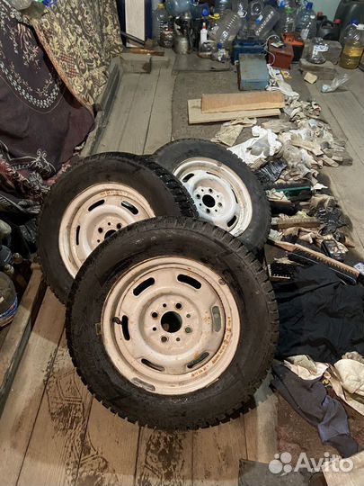 Кама ирбис r13