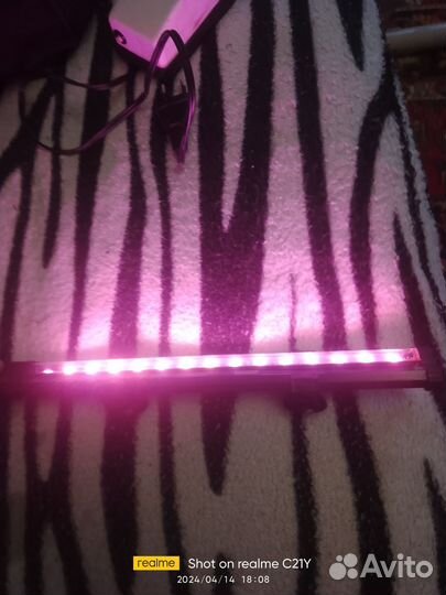 Для аквариума