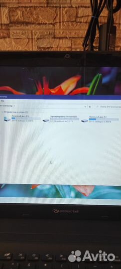 Ноутбук Acer Packard Bell P7YS0