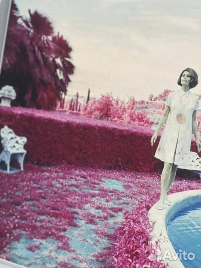 Фотокартина с Софи Лорен в раме