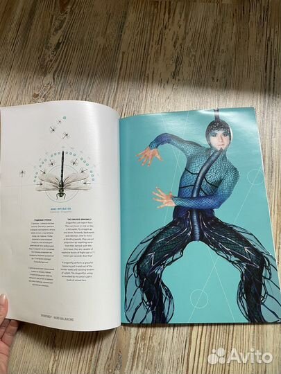 Пограмка цирк дю солей. OVO cirque du soleil