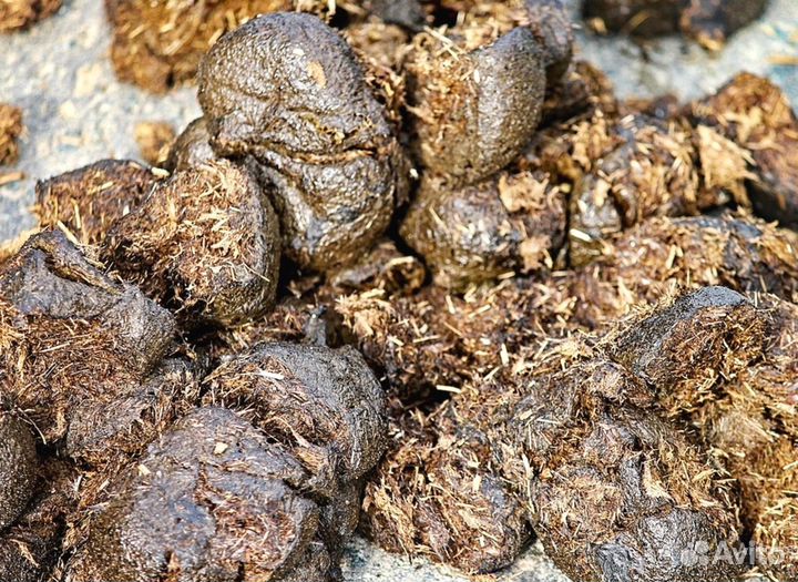 Навоз конский на соломе и опиле