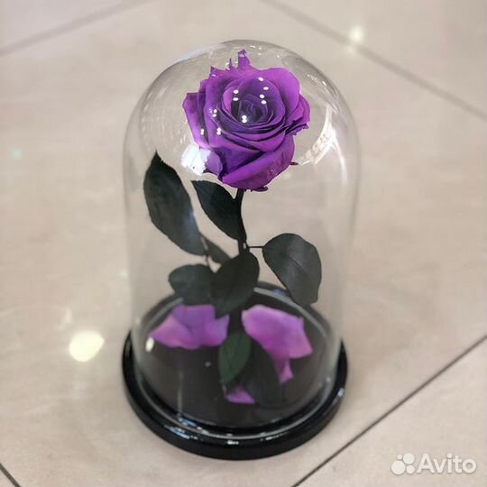 Роза в колбе