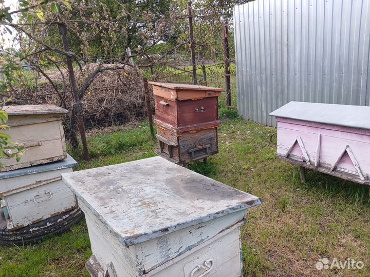 Улий для пчел