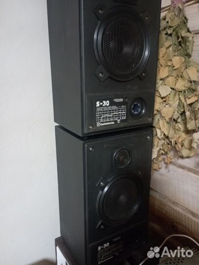 Акустические колонки радиотехника s 30