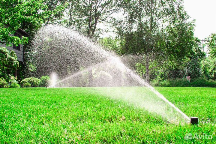 Укладка газона