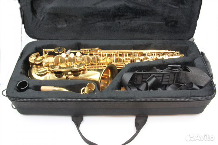 Саксофон ROY benson AS-201