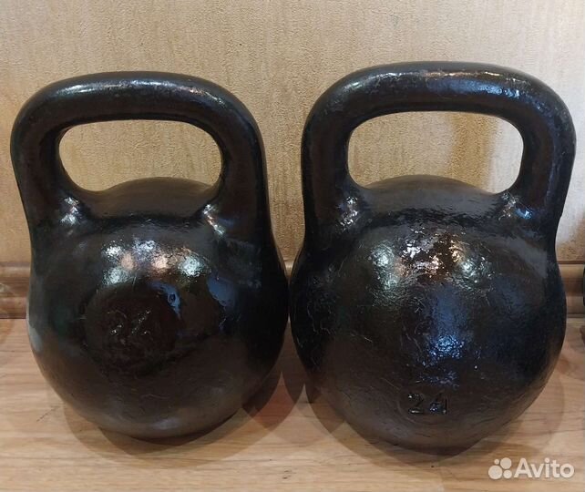 Гиря 24кг (2шт)