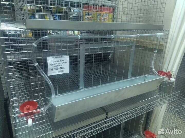 Клетки для кур молодняка, бройлеров и несушек