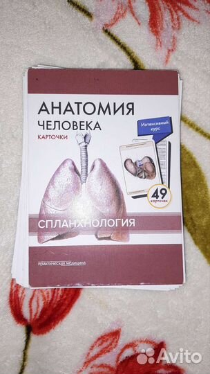 Карточки по анатомии