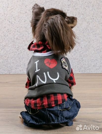 Костюм для собак