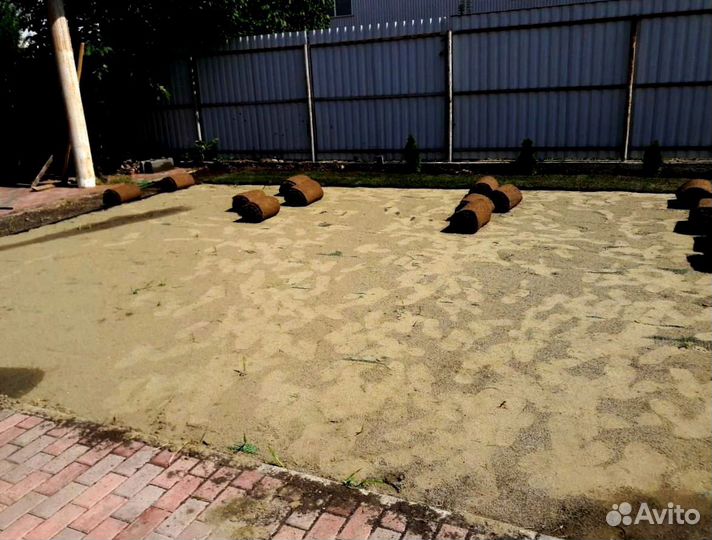 Газон в рулоне