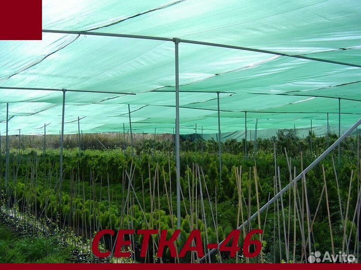 Сетка защитная 55-я на 4 метра темно зеленая