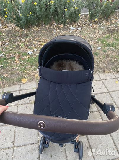 Cybex mios спальный блок (люлька)