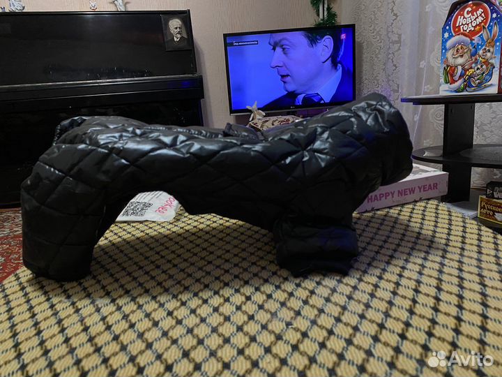 Одежда для маленьких собак