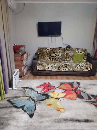 1-к. квартира, 30 м², 1/1 эт.