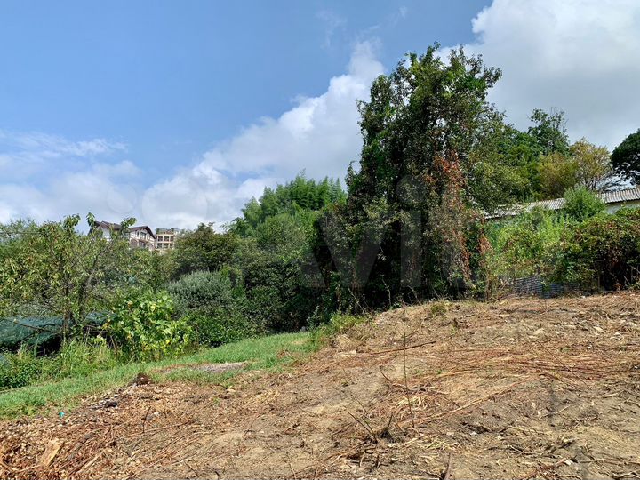 Участок 6 сот. (СНТ, ДНП)