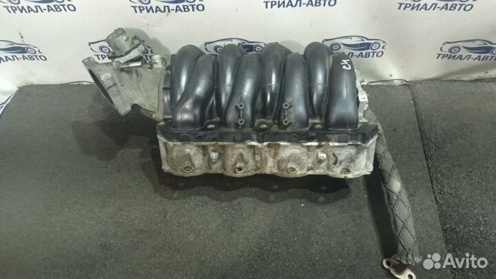 Vogue Коллектор