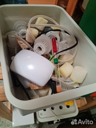 Набор для выращивания микрозелени