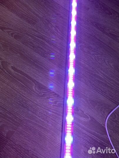 Фитолампа для растений