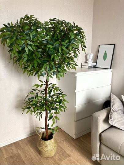 Искусственные цветы и деревья