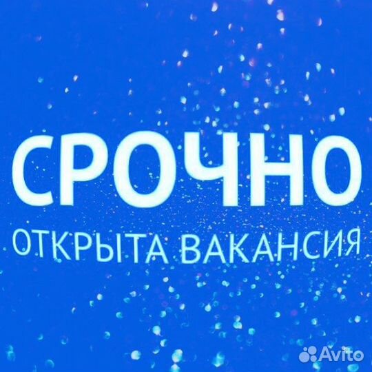 Мерчендайзер(Кудрово)