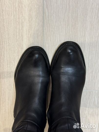 Сапоги basconi