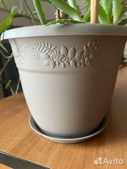 Цветочный горшок