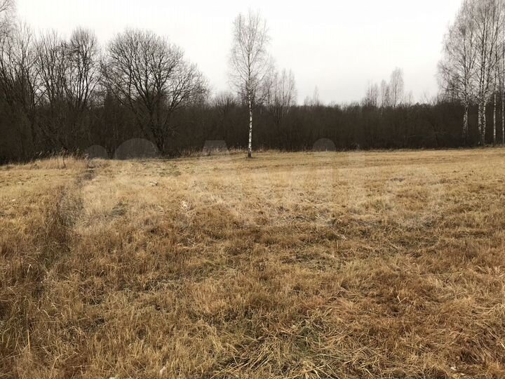 Участок 100 сот. (ИЖС)