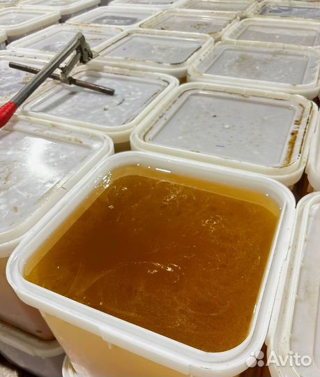 Алтайский мед