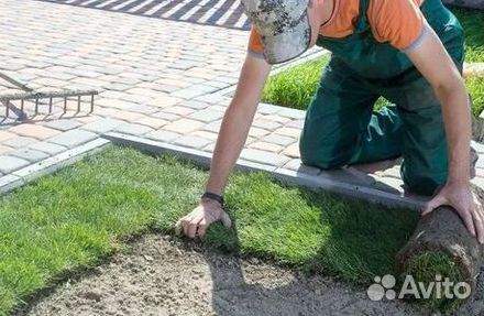 Продажа Рулонного газона