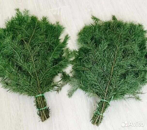 Пихтовые веники