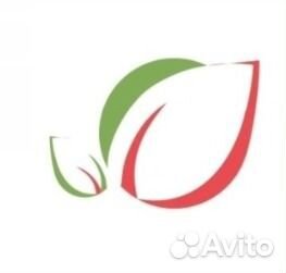 Сторож сутки трое