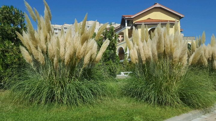 1-к. квартира, 50 м², 1/3 эт.