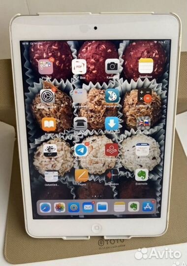 iPad mini