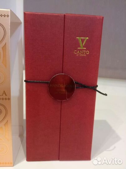 V canto mandragola extrait de parfum 100ml