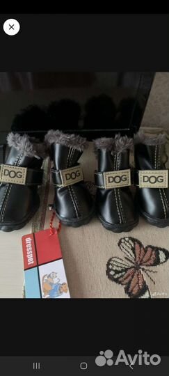 Ботинки для маленьких собак