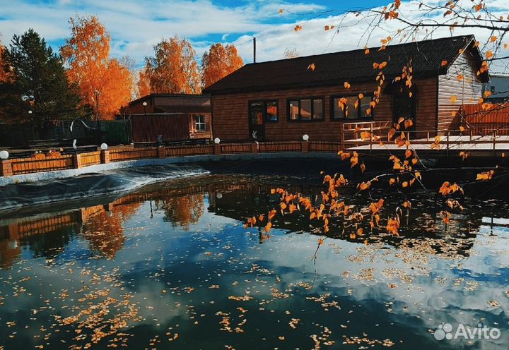 24ноя24 Гастротур: 