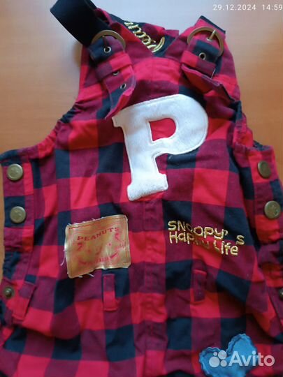 Одежда для маленьких собак